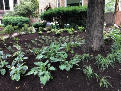 Shade Garden by Sylvia's Landscaping Company, LLC