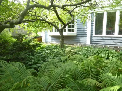 Sylvia's Landscaping Company, LLC - Patio Design & Installation in Winnetka, IL
