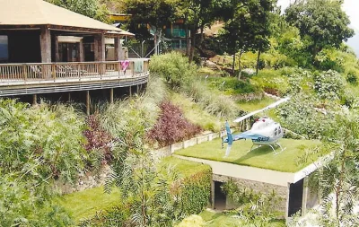 Lake House — Landscape Design project by Sylvia's Landscaping Company, LLC in Chicago