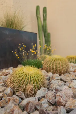 The Design Laboratory - Patio Design & Installation in Tempe, AZ
