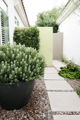The Design Laboratory - Patio Design & Installation in Tempe, AZ