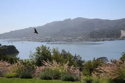 The Land Collaborative - Drought-Resistant Lawn Installation in Novato, CA