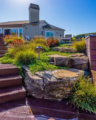 The Land Collaborative - Drought-Resistant Lawn Installation in Novato, CA