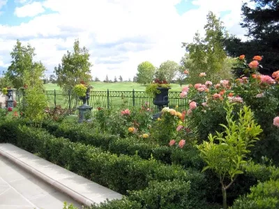 The Office of Jeffrey F. Gamboni - Tree & Shrub Care in Stockton, CA