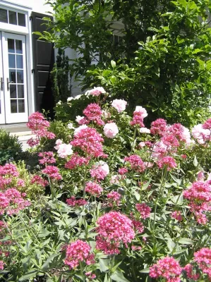 The Outdoor Room, LLC - Garden Remodeling in Walnutport, PA