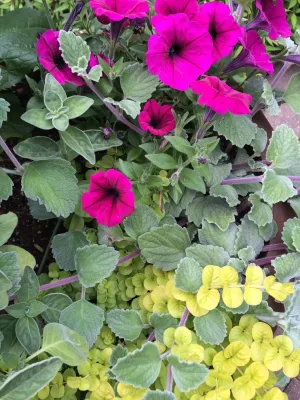 The Outdoor Room, LLC - Garden Remodeling in Walnutport, PA