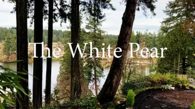 On The Lake in Lake Oswego — Landscape Design project by The White Pear LLC, Design & Build