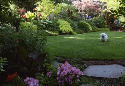 Portland, Oregon Tropical Garden Design by The White Pear LLC, Design & Build