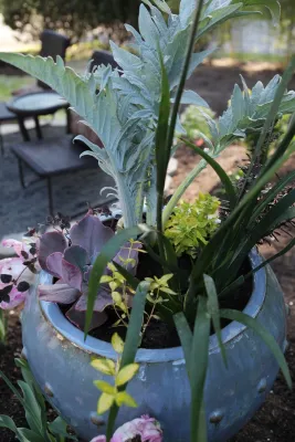Lots Of Pots by The White Pear LLC, Design & Build