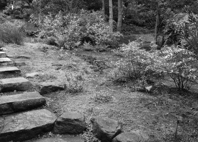 Portland, Oregon Dry Rock Creek Bed & Garden Design by The White Pear LLC, Design & Build