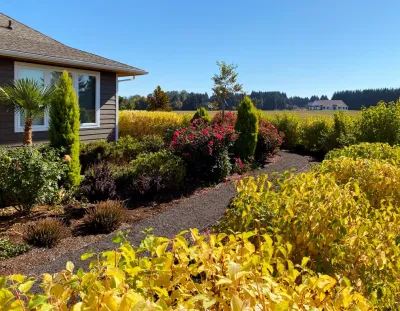 Battle Ground 3 Years Growth by The White Pear LLC, Design & Build