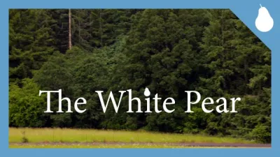 Ridgefield WA Installation — Landscape Design project by The White Pear LLC, Design & Build
