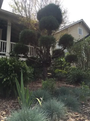Tilting Windmill Landscape Design - Garden Remodeling in Atlanta, GA
