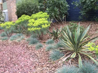 Tilting Windmill Landscape Design - Garden Remodeling in Atlanta, GA