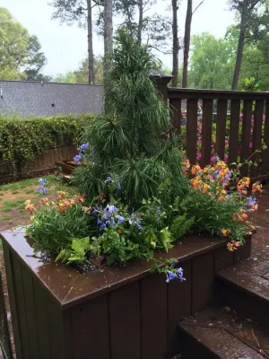 Decks in Atlanta, GA — Landscape Design project by Tilting Windmill Landscape Design in Atlanta