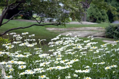 Summer Retreat — Landscape Design project by Timothy Lee Landscape Design in Gloucester