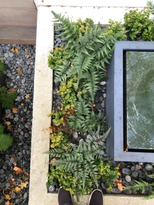 Garden for the Senses by Timothy Lee Landscape Design