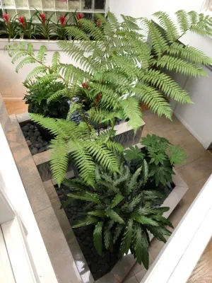 Atrium Garden — Landscape Design project by Timothy Lee Landscape Design in Lexington