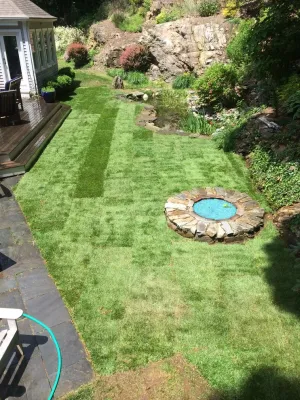 Sodding of Dog Damaged Yard - Madison — Landscape Design project by TJB-INC Landscape & Drainage Contractor