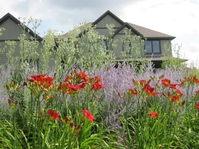 Planting Design and Plant Combinations — Landscape Construction project by Sargent's Gardens in Rochester