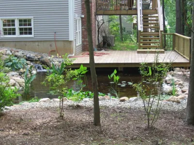 Neilish Water Garden - Branford by TJB-INC Landscape & Drainage Contractor
