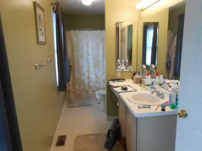 Macedon, NY - Master Bathroom Renovation — Kitchen Remodeling project by Julianna Hall - Cambre Kitchens & Bath,LLC
