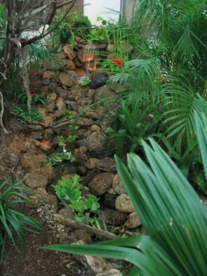 TJB-INC Landscape & Drainage Contractor - Rainwater Harvesting System Installation in Hamden, CT