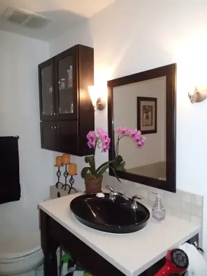Modern Luxury Bathroom — Kitchen Remodeling project by Tucker Distinctive Kitchens