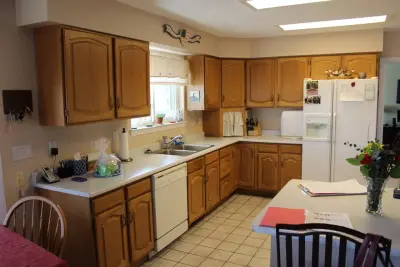 Contemporary Kitchen Renovation — Kitchen Remodeling project by Dreamstyle Remodeling