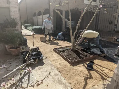 Townhome Community — Landscape Construction project by 50 Shades Of Green in Houston