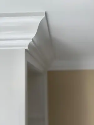 Office and Master Closet Expansion — Home Renovation & Remodeling Services project by Bald Cypress Builders LLC