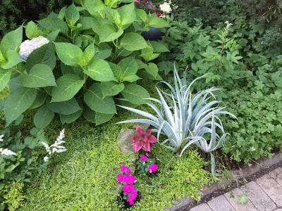 Artistry Landscape Design - Leaf Removal & Cleanup in Chicago, IL