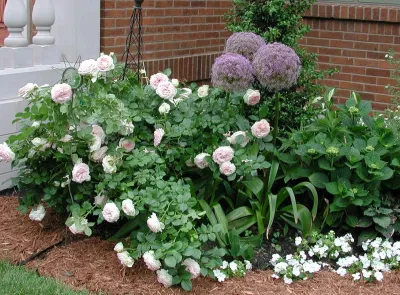 Artistry Landscape Design - Leaf Removal & Cleanup in Chicago, IL
