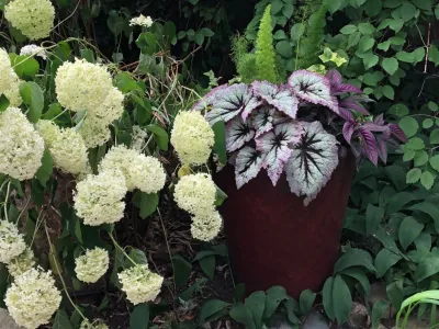 Artistry Landscape Design - Leaf Removal & Cleanup in Chicago, IL