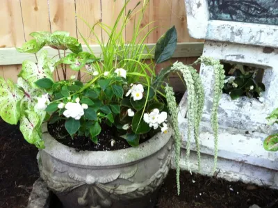 Artistry Landscape Design - Leaf Removal & Cleanup in Chicago, IL