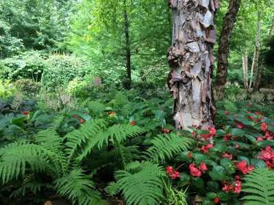 As You Like It Landscaping - Landscape Maintenance in Ijamsville, MD