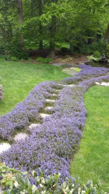 As You Like It Landscaping - Landscape Maintenance in Ijamsville, MD