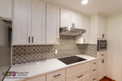 Contemporary Kitchen Renovation — Home Renovation & Remodeling Services project by Renovate Paint And Design