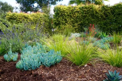 Ashley Farrell Landscape Design - Garden Remodeling in Santa Barbara, CA