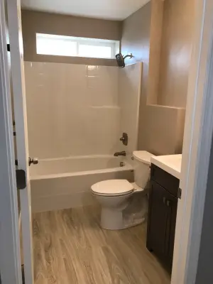Cheney Lower Level Bathroom — Home Renovation & Remodeling Services project by DC Premier Construction