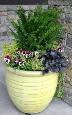 Container Gardening — Landscape Construction project by B.B. Barns Landscape Services in Asheville