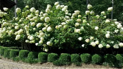 Garden Services & Lawn Maintenance — Landscape Construction project by B.B. Barns Landscape Services in Asheville