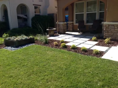 Bell Landscape - Tree Planting & Transplanting in El Dorado Hills, CA