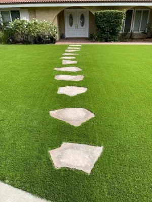 Beyond Remodeling & Building, Inc. - Drip Irrigation System Installation in Encino, CA