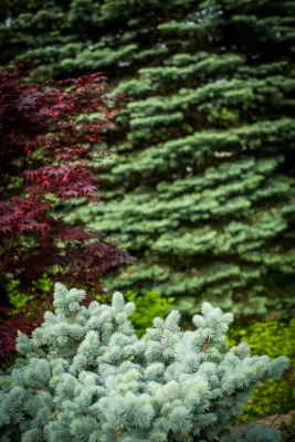 Breath Of Spring Landscaping - Irrigation System Repair in Pelham, NY