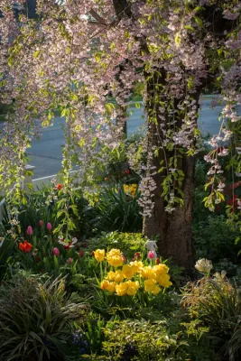 Breath Of Spring Landscaping - Irrigation System Repair in Pelham, NY