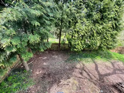 Playground Removal and Landscaping — Home Renovation & Remodeling Services project by JCP Contractor LLC