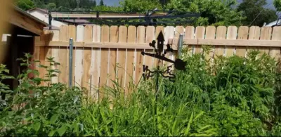 Colville Cedar Privacy Fence — Home Renovation & Remodeling Services project by Kingdom Building Brothers LLC