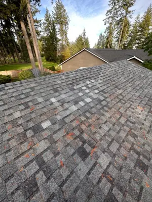Roofing Solutions — Home Renovation & Remodeling Services project by PNW Custom Interiors & Remodel LLC