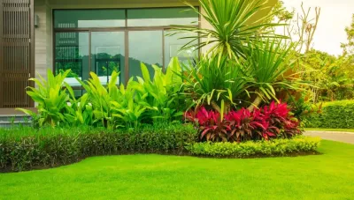 Caterpillar Landscaping, LLC - Outdoor Lighting Installation in Orlando, FL